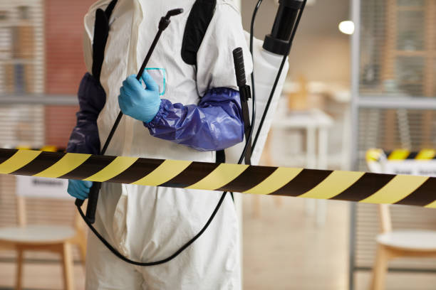 Professional Sewage Cleanup technician working in Whiterocks, UT